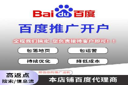 百度搜索引擎优化推广：成功案例揭秘